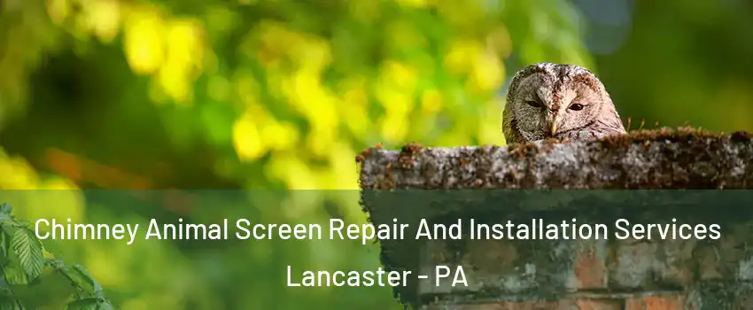  Chimney Animal Screen Repair And Installation Services Lancaster - PA