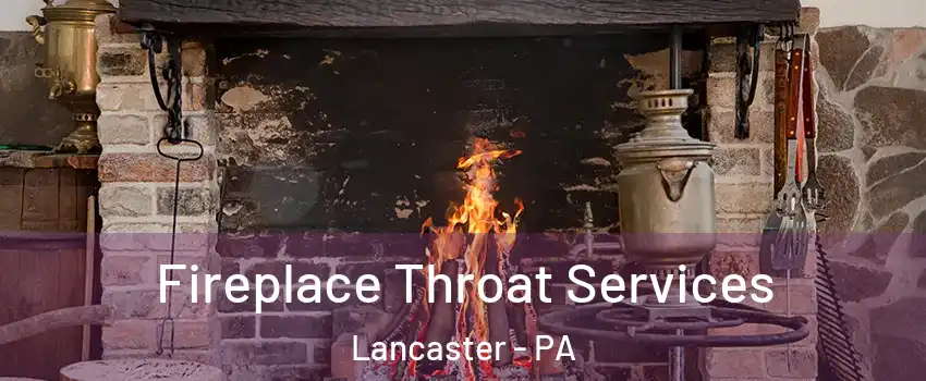 Fireplace Throat Services Lancaster - PA