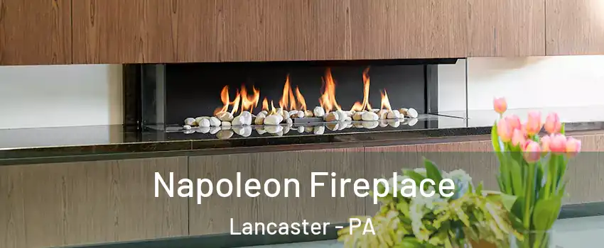  Napoleon Fireplace Lancaster - PA